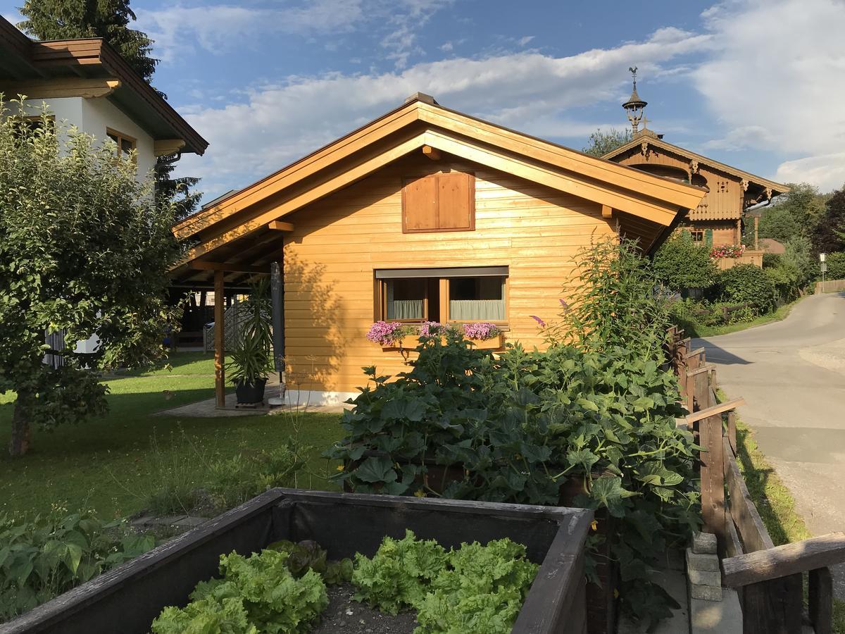 Ferienhaus Hofwimmer Kirchberg in Tirol Zewnętrze zdjęcie